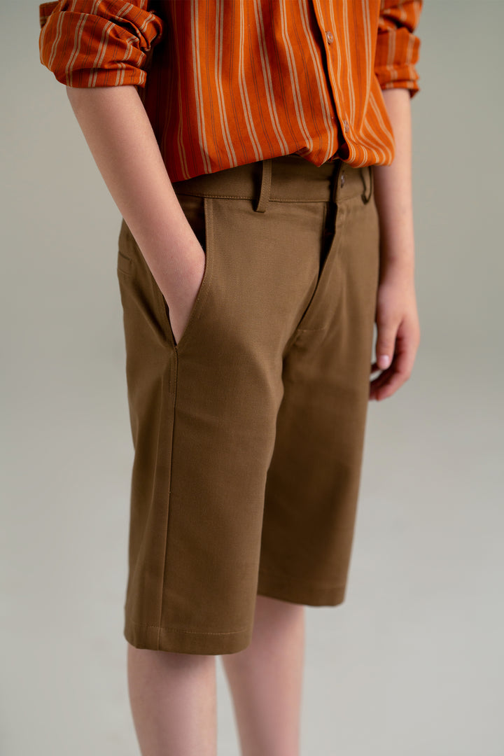 Brown Bermuda Shorts