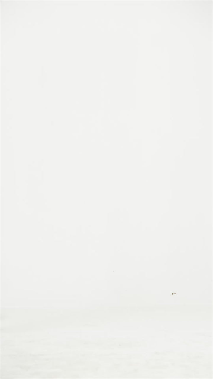 Black Linen Shirt