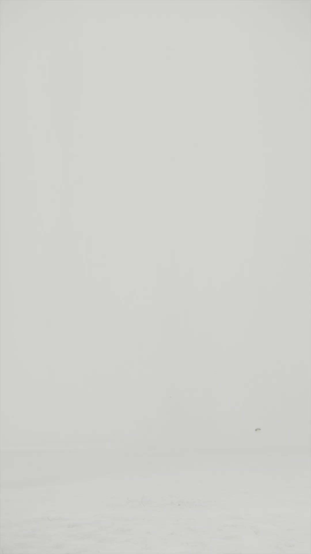 White Linen Shirt