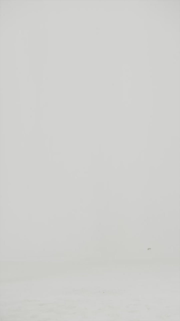 White Linen Shirt