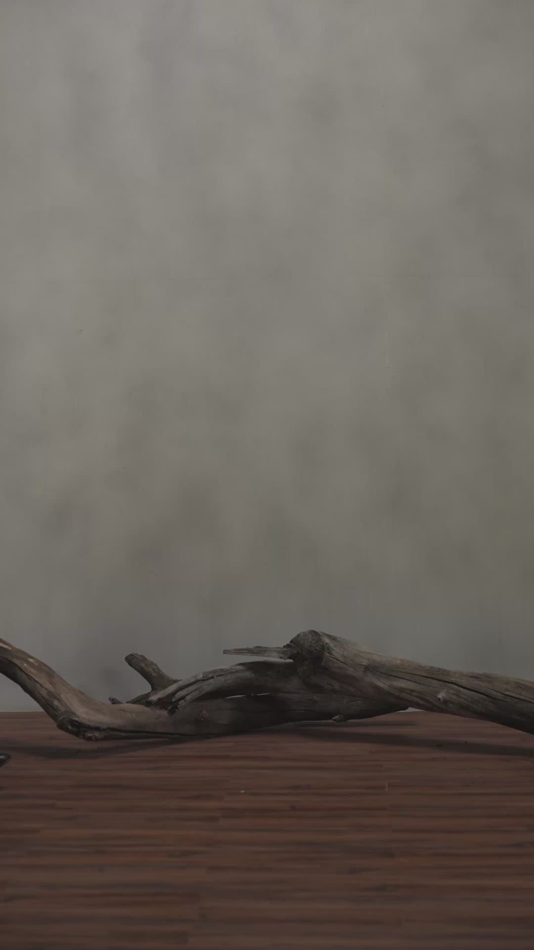 Black Single Breasted Long Coat