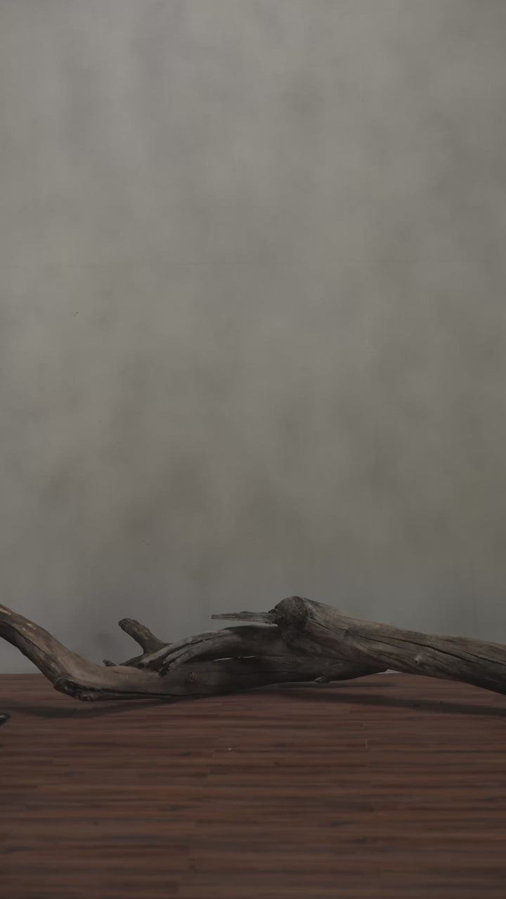 Black Single Breasted Long Coat