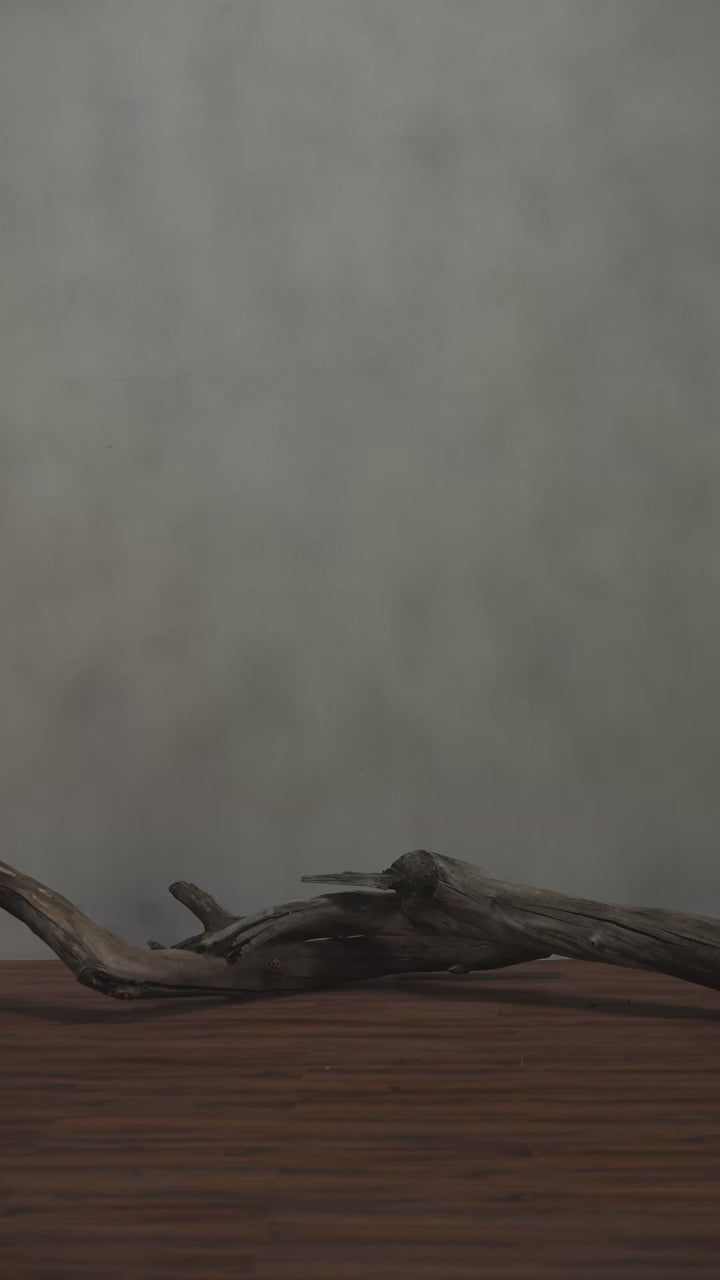 Beige Single Breasted Chester