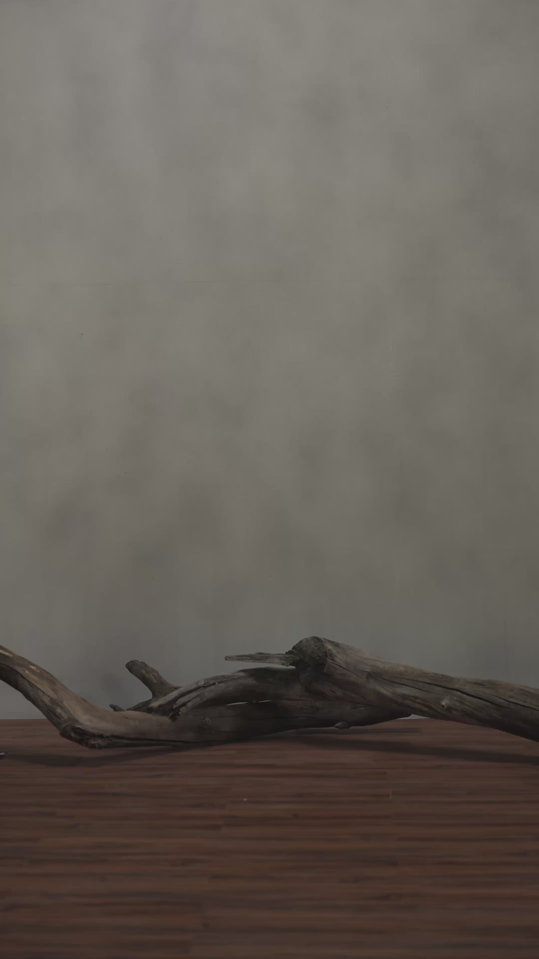 Fleece Pull over Hoodie